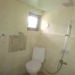 орлите
